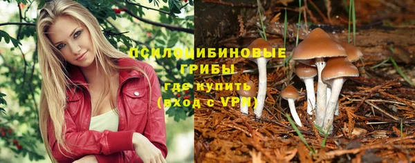 стафф Алексеевка